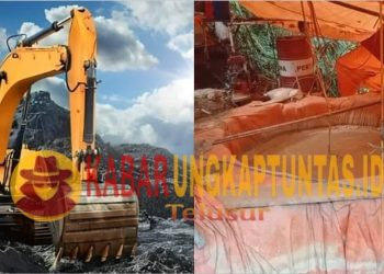 Tangkap Daeng Edi! Kebal Hukum, Perusak Cagar Alam Tomula Diduga Dibekingi Oknum