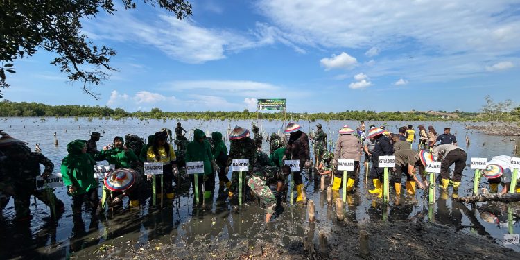 Dalam Rangka HUT TNI, Kodim1313 Pohuwato Tanam 500 Bibit Mangrove