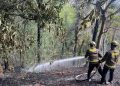Kebakaran Lahan di Alale Bone Bolango, Api Berhasil Dipadamkan Tim Gabungan