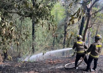 Kebakaran Lahan di Alale Bone Bolango, Api Berhasil Dipadamkan Tim Gabungan