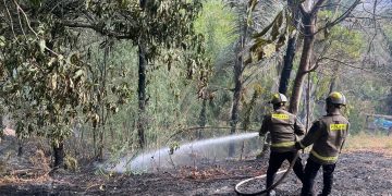 Kebakaran Lahan di Alale Bone Bolango, Api Berhasil Dipadamkan Tim Gabungan