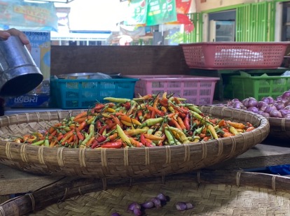 Harga Rica Mulai Turun, dari Rp140 Ribu Kini Rp120 Ribu per Kilogram