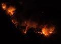 Kebakaran Lahan di Bondawuna Suwawa Selatan, Tiga Hektare Lebih Terbakar