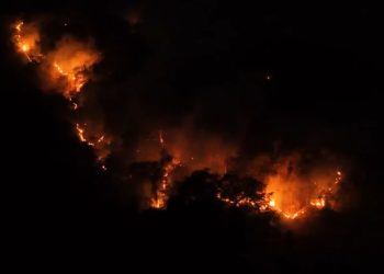 Kebakaran Lahan di Bondawuna Suwawa Selatan, Tiga Hektare Lebih Terbakar