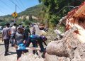 Pohon Tumbang Hambat Jalan Trans Sulawesi, Personel Polairud Polda Gorontalo Turun Evakuasi