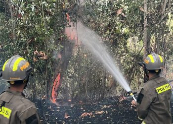 Tiga Titik Api Membakar Lahan Gunung Lombongo, Tim Gabungan Berhasil Jinakkan Api