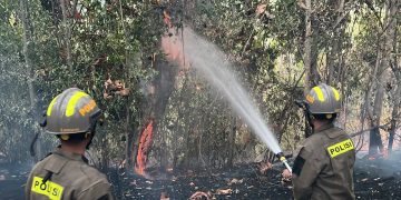 Tiga Titik Api Membakar Lahan Gunung Lombongo, Tim Gabungan Berhasil Jinakkan Api