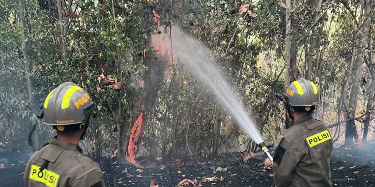 Tiga Titik Api Membakar Lahan Gunung Lombongo, Tim Gabungan Berhasil Jinakkan Api