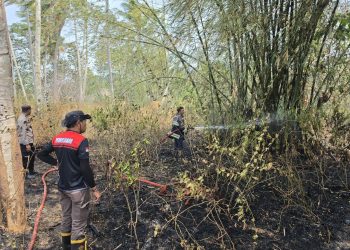 Update: Kebakaran Lahan di Gorontalo Terus Terjadi, Bone Bolango Jadi Wilayah Paling banyak Laporannya