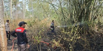 Update: Kebakaran Lahan di Gorontalo Terus Terjadi, Bone Bolango Jadi Wilayah Paling banyak Laporannya